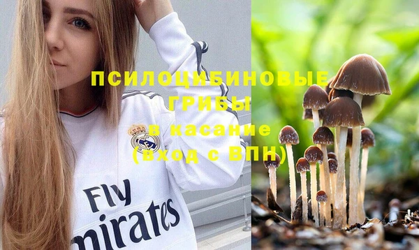индика Алзамай