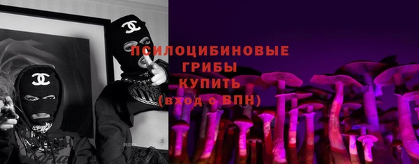 гидра Алексеевка