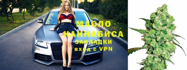 индика Алзамай