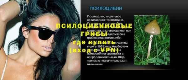мяу мяу мука Нязепетровск
